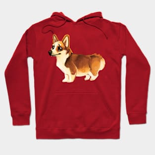 Corgi dog Hoodie